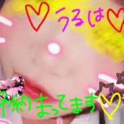 ヒメ日記 2025/11/26 13:55 投稿 うるは 宮崎ちゃんこ都城店