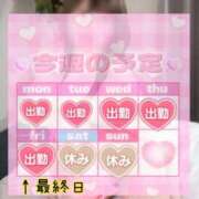 ヒメ日記 2026/04/14 21:12 投稿 りま ちゃんこ伊勢志摩鳥羽店