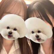 あみ ( •̀ᄇ• ́)ﻭ✧ an_an（アンアン）