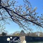 ヒメ日記 2026/03/30 17:57 投稿 みき Cocoon(コクーン)