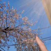 ヒメ日記 2026/04/18 18:20 投稿 みき Cocoon(コクーン)