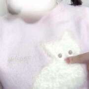 ヒメ日記 2025/11/20 03:33 投稿 ゆい シンデレラ【平均年齢20才、風俗未経験の娘が8割以上】