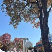 ヒメ日記 2025/11/23 12:12 投稿 ゆい シンデレラ【平均年齢20才、風俗未経験の娘が8割以上】