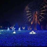 ヒメ日記 2025/11/09 21:24 投稿 まいか 人妻倶楽部 内緒の関係 大宮店