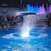 ヒメ日記 2026/02/09 21:24 投稿 まいか 人妻倶楽部 内緒の関係 大宮店