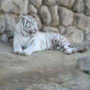 ヒメ日記 2026/02/22 09:24 投稿 まいか 人妻倶楽部 内緒の関係 大宮店