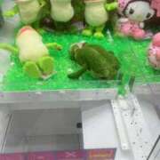 ヒメ日記 2025/10/18 15:07 投稿 おと ウルトラドリーム