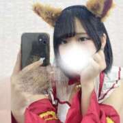 ヒメ日記 2025/11/05 05:29 投稿 おと ウルトラドリーム