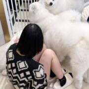 ヒメ日記 2025/11/06 12:29 投稿 おと ウルトラドリーム