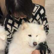 ヒメ日記 2025/11/07 08:49 投稿 おと ウルトラドリーム