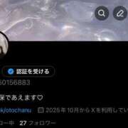 ヒメ日記 2025/11/07 22:48 投稿 おと ウルトラドリーム