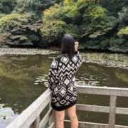 ヒメ日記 2025/11/08 11:49 投稿 おと ウルトラドリーム