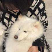 ヒメ日記 2025/11/12 16:39 投稿 おと ウルトラドリーム