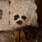 ヒメ日記 2026/02/08 22:59 投稿 おと ウルトラドリーム