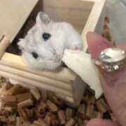 ヒメ日記 2026/03/02 06:19 投稿 おと ウルトラドリーム