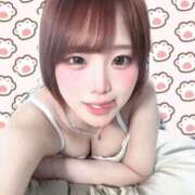 おと しゅきん！ ウルトラドリーム