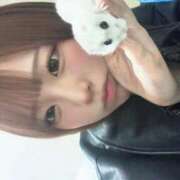 ヒメ日記 2026/03/16 21:02 投稿 おと ウルトラドリーム