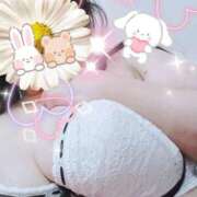 ヒメ日記 2025/11/24 16:07 投稿 ゆうり 熟女の風俗最終章 町田店