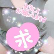 ヒメ日記 2026/02/28 19:50 投稿 ゆうり 熟女の風俗最終章 町田店