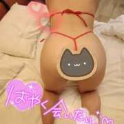 ねね 🌷自己紹介🌷 ぽっちゃりデリヘル倶楽部