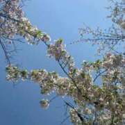 ヒメ日記 2025/10/12 19:14 投稿 高杉　なごみ 一夜妻　大阪ミナミ店