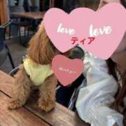 ヒメ日記 2025/11/22 15:02 投稿 ティア 1ROUND