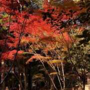 ヒメ日記 2025/11/07 10:40 投稿 長里美咲 五十路マダム愛されたい熟女たち 福山店(カサブランカグループ)