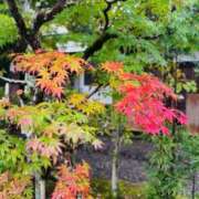 ヒメ日記 2025/11/10 10:14 投稿 長里美咲 五十路マダム愛されたい熟女たち 福山店(カサブランカグループ)