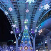 長里美咲 12月の出勤予定??* 五十路マダム愛されたい熟女たち 福山店(カサブランカグループ)