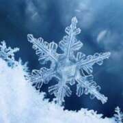 ヒメ日記 2026/01/11 14:12 投稿 長里美咲 五十路マダム愛されたい熟女たち 福山店(カサブランカグループ)