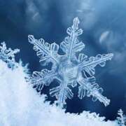 ヒメ日記 2026/01/12 20:08 投稿 長里美咲 五十路マダム愛されたい熟女たち 福山店(カサブランカグループ)