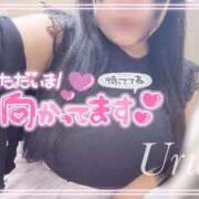 ヒメ日記 2025/10/12 17:07 投稿 うる 丸妻 横浜本店