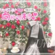 ヒメ日記 2025/10/13 18:05 投稿 うる 丸妻 横浜本店