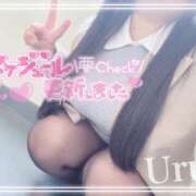 ヒメ日記 2025/10/22 17:30 投稿 うる 丸妻 横浜本店