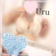 ヒメ日記 2025/10/23 19:40 投稿 うる 丸妻 横浜本店