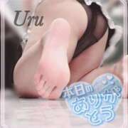 ヒメ日記 2025/10/30 15:48 投稿 うる 丸妻 横浜本店