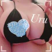 ヒメ日記 2025/11/06 21:21 投稿 うる 丸妻 横浜本店