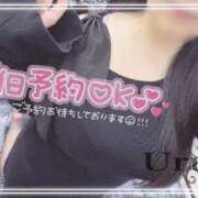 ヒメ日記 2025/11/15 10:50 投稿 うる 丸妻 横浜本店