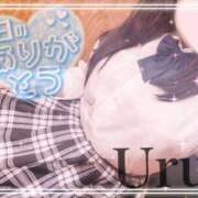 ヒメ日記 2025/11/24 19:33 投稿 うる 丸妻 横浜本店