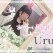 ヒメ日記 2025/11/25 10:30 投稿 うる 丸妻 横浜本店