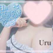 ヒメ日記 2025/12/09 16:01 投稿 うる 丸妻 横浜本店