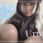 ヒメ日記 2025/12/22 00:31 投稿 うる 丸妻 横浜本店