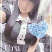 ヒメ日記 2025/12/29 17:35 投稿 うる 丸妻 横浜本店