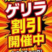 ヒメ日記 2026/01/17 15:58 投稿 うる 丸妻 横浜本店