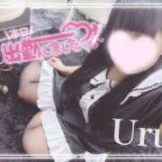 ヒメ日記 2026/01/19 13:36 投稿 うる 丸妻 横浜本店