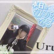 ヒメ日記 2026/01/28 19:10 投稿 うる 丸妻 横浜本店