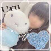 ヒメ日記 2026/02/04 00:46 投稿 うる 丸妻 横浜本店