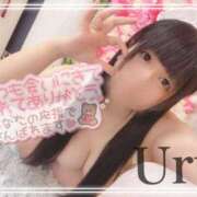 ヒメ日記 2026/02/05 14:32 投稿 うる 丸妻 横浜本店