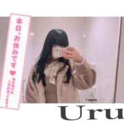 ヒメ日記 2026/02/11 19:15 投稿 うる 丸妻 横浜本店