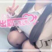 ヒメ日記 2026/02/15 12:45 投稿 うる 丸妻 横浜本店